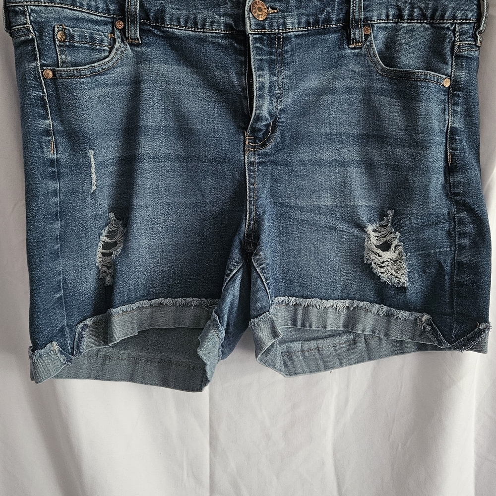 Celebrity Pink Blue Distressed Jean Shorts